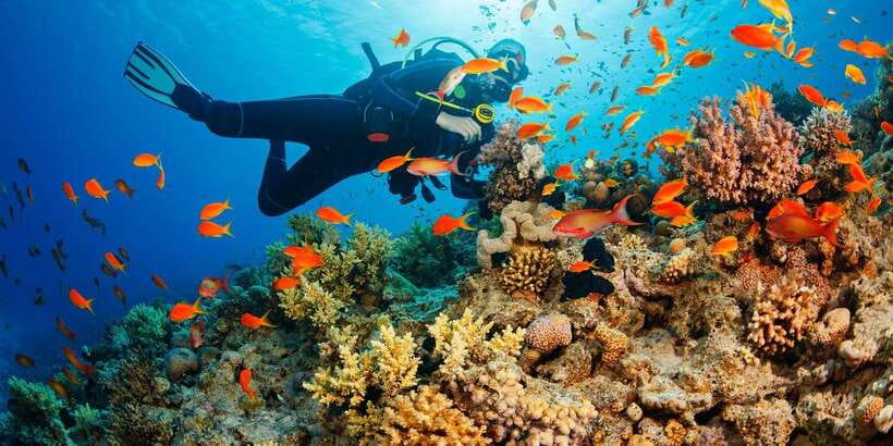 Cebu: Moalboal Scuba Diving with Sardines and Turtle Snorkel - Weather, Currents, and the 18-Hour Flying Rule