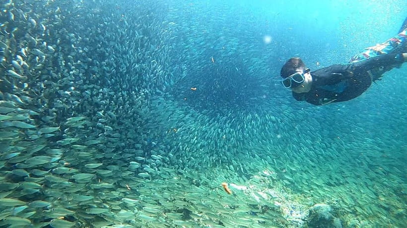 Cebu: Moalboal Snorkeling, Mantayupan Falls & ATV Adventure - Barili ATV adventure: guided off-road with safety gear