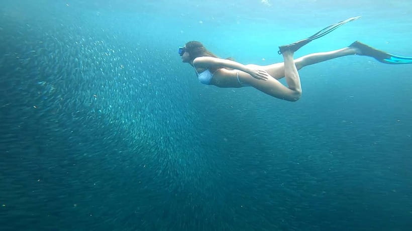 Cebu: Moalboal Snorkeling, Mantayupan Falls & ATV Adventure - Who this tour suits best, and who should skip it