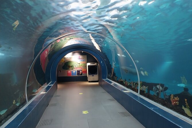 Cebu Ocean Park - Key Things to Know Before You Go