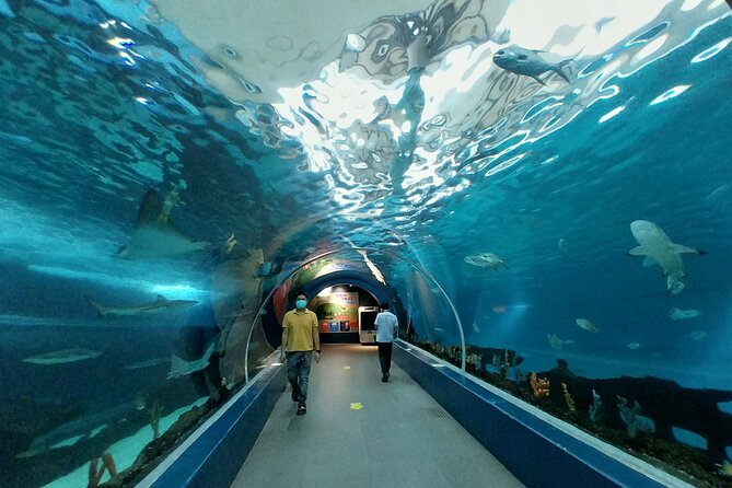 Cebu Ocean Park - Cebu Ocean Park: More Than a Typical Aquarium Ticket