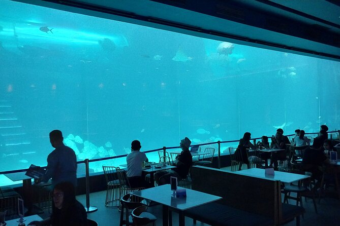 Cebu Ocean Park - Entering The Park: Timing, Hours, and Where the Visit Starts