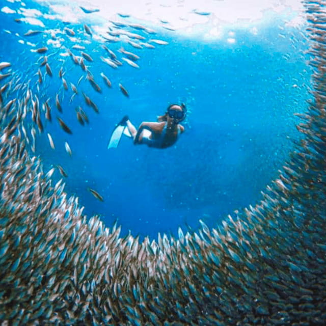 Cebu: Oslob Whale Shark, Sumilon, Ruins, Simala Church - Sumilon Island Sandbar: where the day finally slows down
