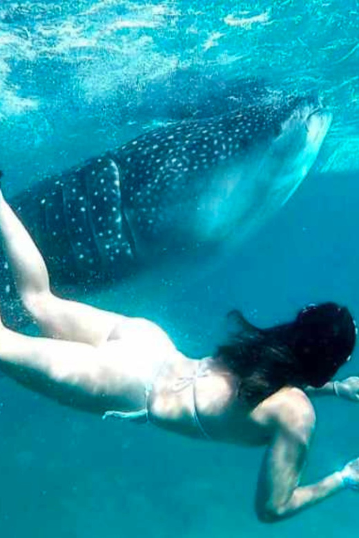 Cebu: Oslob Whale Shark, Sumilon, Ruins, Simala Church - Price and value: is $117 worth it for 14 hours?