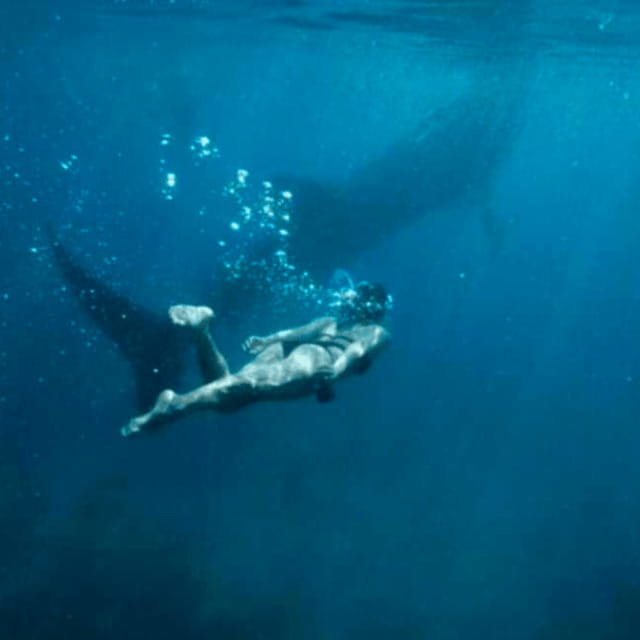 Cebu: Oslob Whale Shark, Sumilon, Ruins, Simala Church - Starting at 3AM: timing, drive pace, and how to stay sane