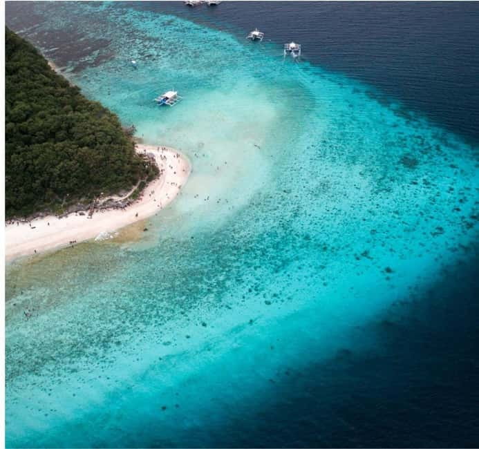 Cebu: Oslob Whale Shark Swim and Sumilon Island Day Tour - Key Points Before You Go
