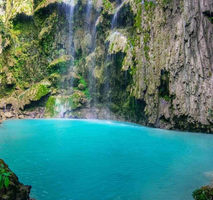 Cebu: Oslob Whale Shark Swim and Sumilon Island Day Tour - Should You Book It?