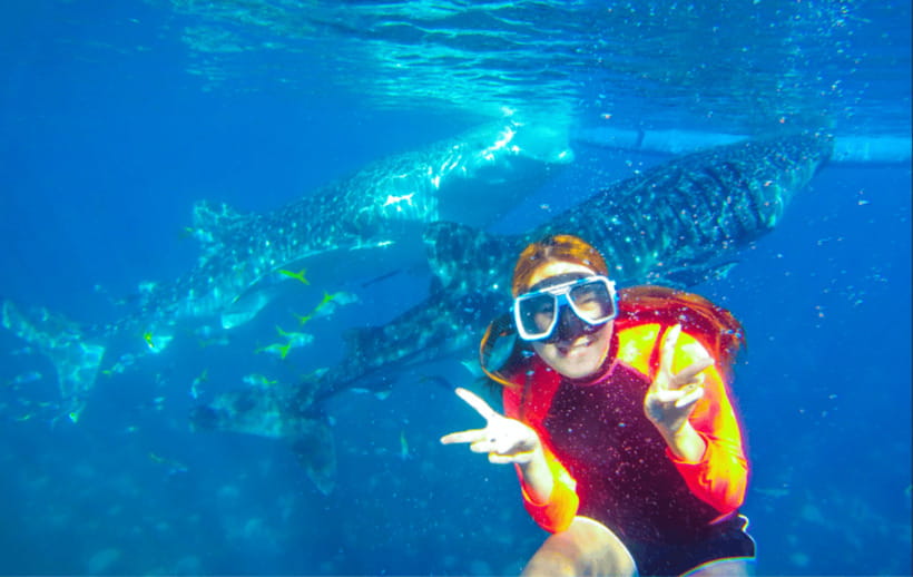Cebu: Oslob Whale Shark Swimming and Tumalog Falls Tour - Snorkeling Gear, Life Jacket, and a GoPro Option