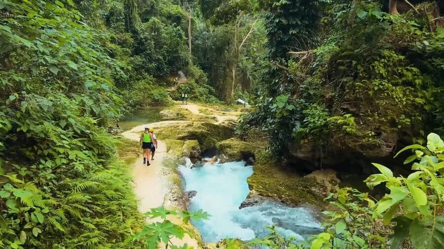 Cebu:Oslob Whale Shark Swimming & Kawasan Falls Canyoneering - Price and value: is $106 worth it for both highlights?