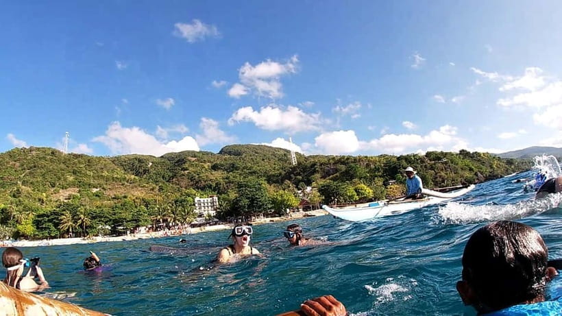 Cebu Oslob: Whale Shark Watching Experience - Who Should Book This, and Who Should Skip It