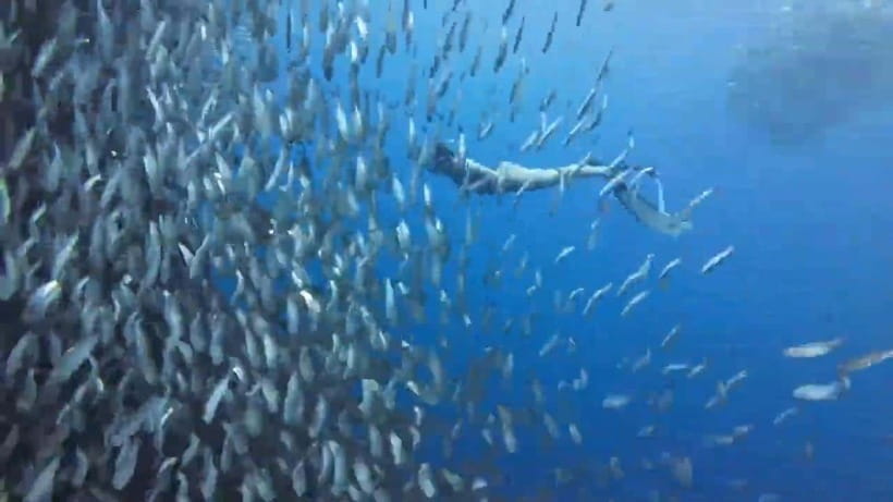 Cebu: Oslob Whale Sharks, Tumalog Falls & Sardine Snorkeling - Tumalog Falls: the break your legs actually need