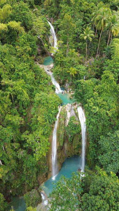 Cebu Oslob Whaleshark, Moalboal Sardines Run&Inambakan Falls - Key highlights to know before you go