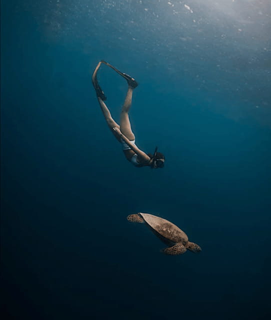 Cebu Oslob Whaleshark, Moalboal Sardines Run&Inambakan Falls - The Van Day: long transfers, but organized enough to feel worth it