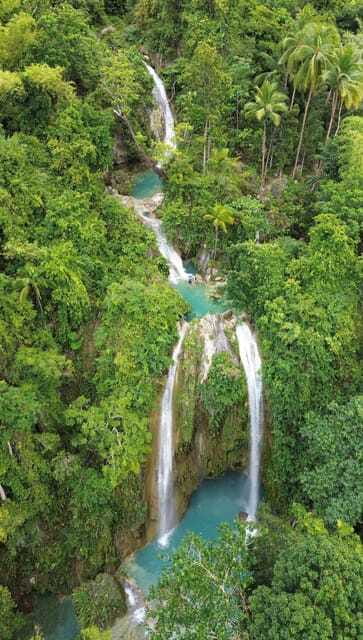 Cebu Oslob Whaleshark, Moalboal Sardines Run&Inambakan Falls - Should you book the Cebu Oslob, Moalboal sardines, and Inambakan Falls tour?