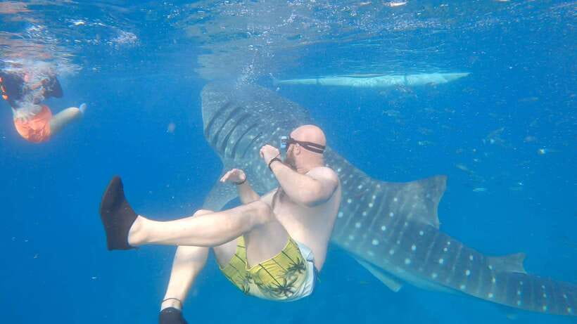 Cebu: Oslob Whaleshark & Sardines Run Snorkeling Day Tour - Quick hits before you commit
