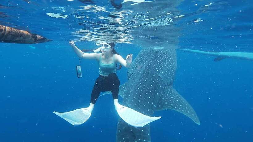 Cebu: Oslob Whaleshark & Sardines Run Snorkeling Day Tour - Price and Value: What $108 Gets You, and What Might Add Up
