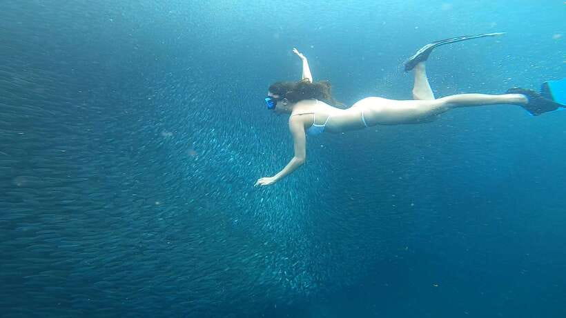 Cebu: Oslob Whaleshark & Sardines Run Snorkeling Day Tour - Who This Tour Suits, and Who Should Skip It