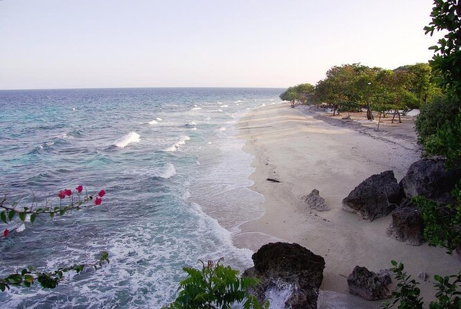 Cebu Oslob Whalesharks, Sumilon & Kawasan Waterfalls Tour - Key things to know before you go