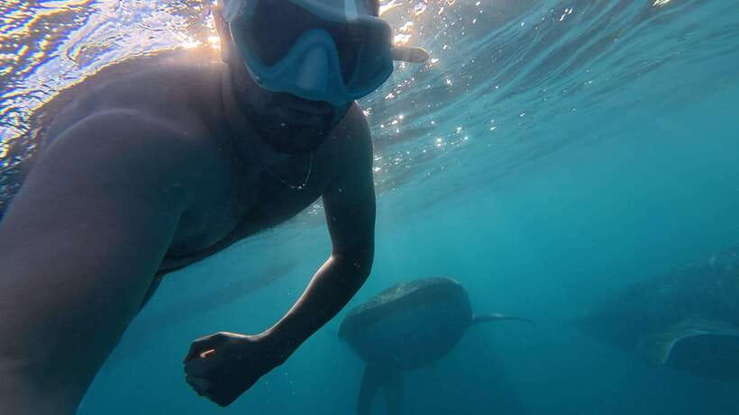 Cebu:Oslob WhaleSharkWatching,Kawasan Canyoneering - Key highlights to know before you go