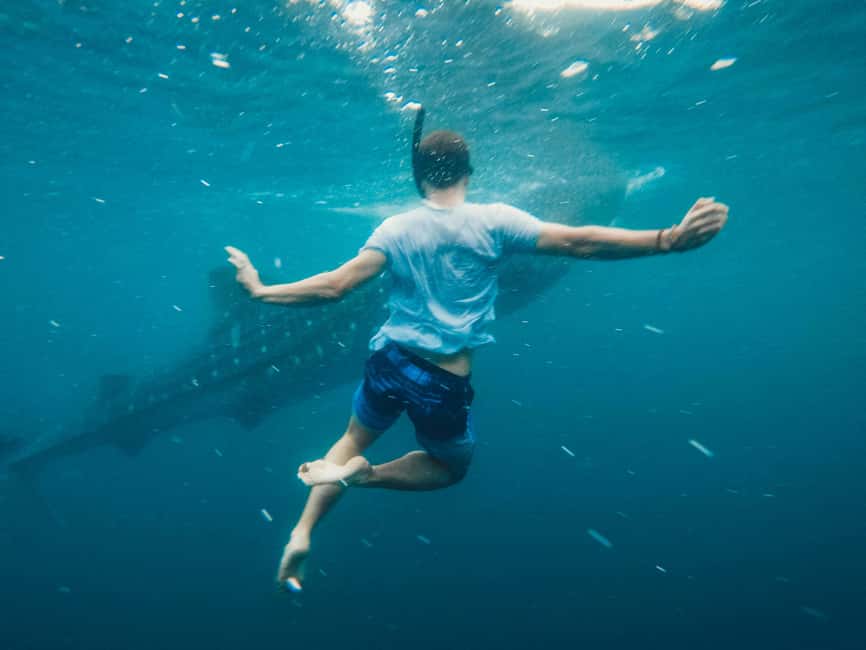Cebu:Oslob WhaleSharkWatching,Kawasan Canyoneering - Why This Cebu Combo Makes Sense for One Long Day