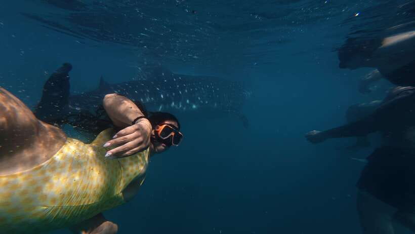 Cebu:Oslob WhaleSharkWatching,Kawasan Canyoneering - What to Pack, What Not to Bring, and Must-Knows