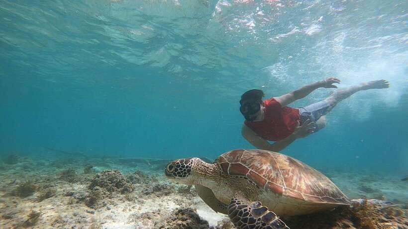 Cebu: Osmeña Peak hike and Sardines Run Snorkel adventure - Provider notes: Boss J Cebu Tours and the guide role