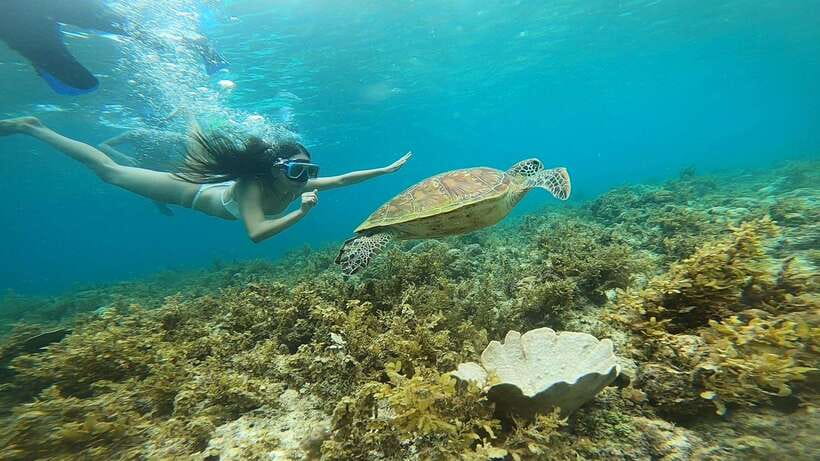 Cebu: Osmeña Peak hike and Sardines Run Snorkel adventure - Price and value: what your $92 really covers