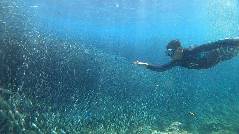 Cebu: Osmeña Peak hike and Sardines Run Snorkel adventure - The ride matters: carsick warning and how to stay comfortable