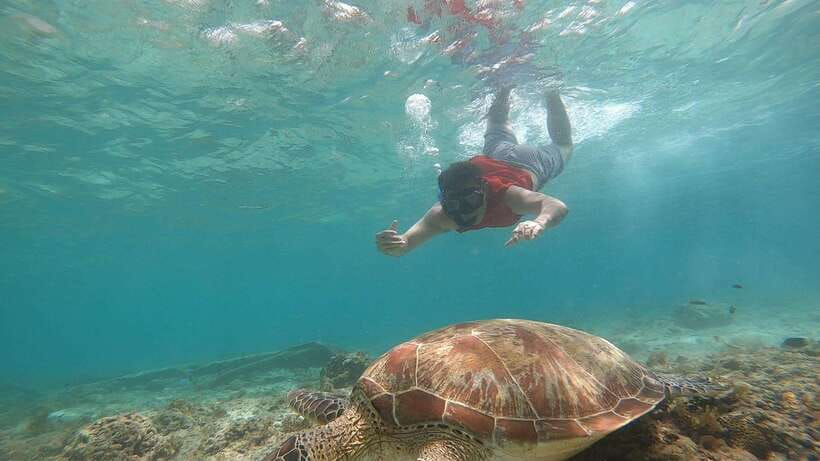 Cebu: Pescador Island, Sardines run and Kawasan Canyoneering - Who This Tour Suits Best (and Who Should Skip It)