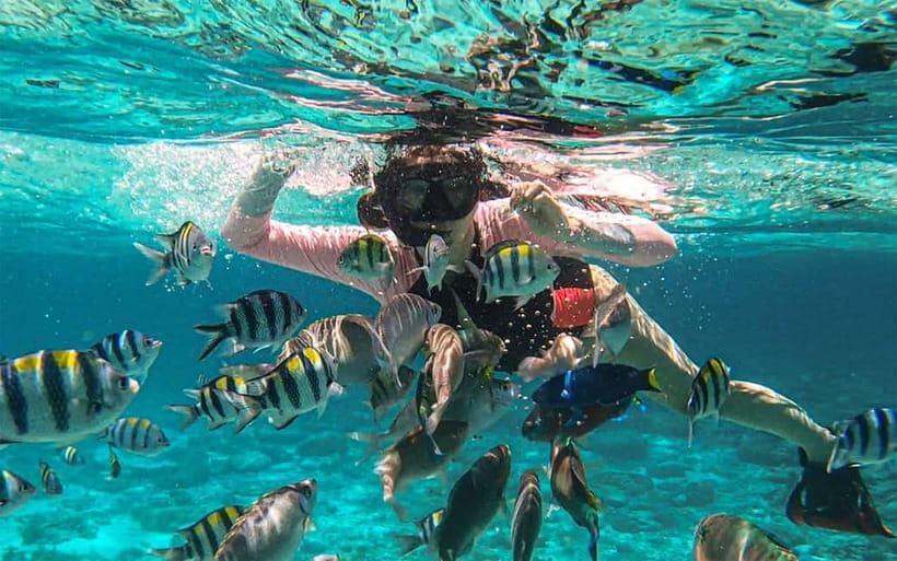 Cebu: Private Mactan Island Hopping Tour with Lunch - Nalusuan Island sandbar: clear water time and photo-friendly slow moments