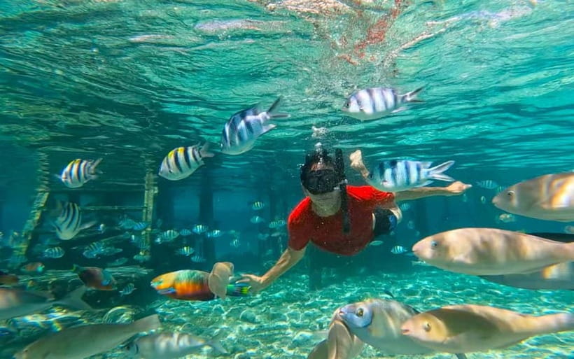 Cebu: Private Mactan Island Hopping Tour with Lunch - Gilutungan Island snorkeling: protected marine water and why it’s the anchor stop