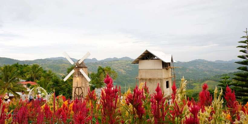 Cebu: Private Panoramic Tour with Dinner - What to Bring for a Comfortable Hillside Evening
