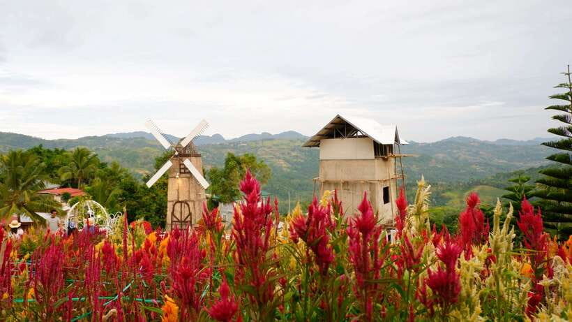 Cebu: Private Panoramic Tour with Dinner - The Drive Up: Mango Orchards, Hills, and a Real Sense of Place