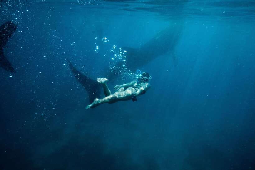 Cebu: Private Sumilon Island & Optional Whale Shark Swim - The Sumilon Resort Upgrade: Lunch, Pools, and Easy Comfort