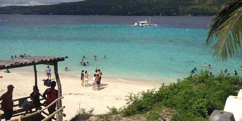 Cebu: Private Sumilon Island & Optional Whale Shark Swim - Price and Value: Does It Add Up for Your Day?