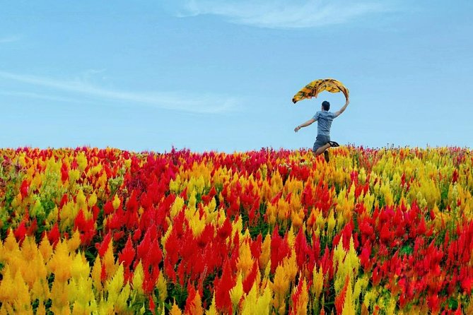 Cebu: Private Twin City Tour +Temple of Leah + Sirao Flower Farm - Sirao Flower Garden, also called Little Netherlands