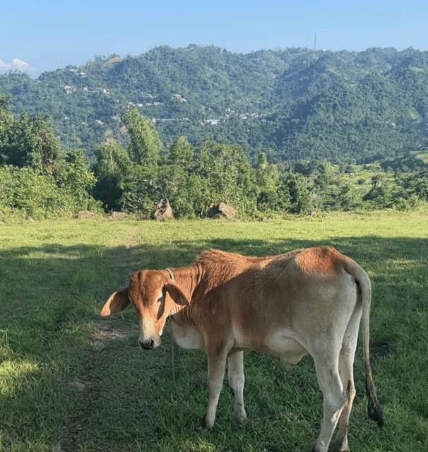 Cebu: Quick Hiking Trip Outside of the Concrete Jungle - What to Bring for a Comfortable, Safer Hike