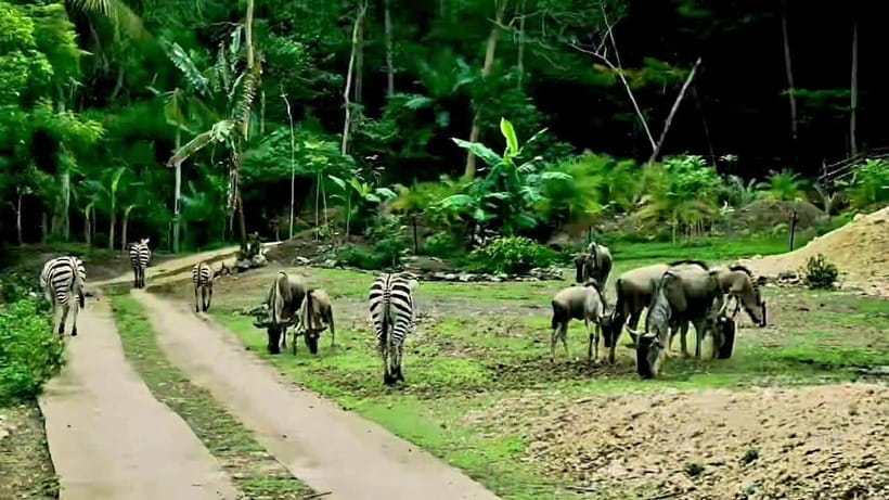 Cebu Safari & Adventure Park: Wildlife Tour with Transfers - Botanical Gardens and Nature Trails: Pretty Views, More Steps