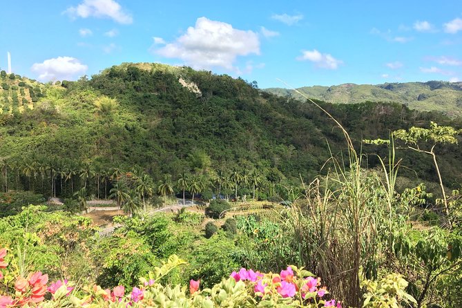 Cebu Safari and Adventure Park - Getting there, really matters: transfers from Cebu included