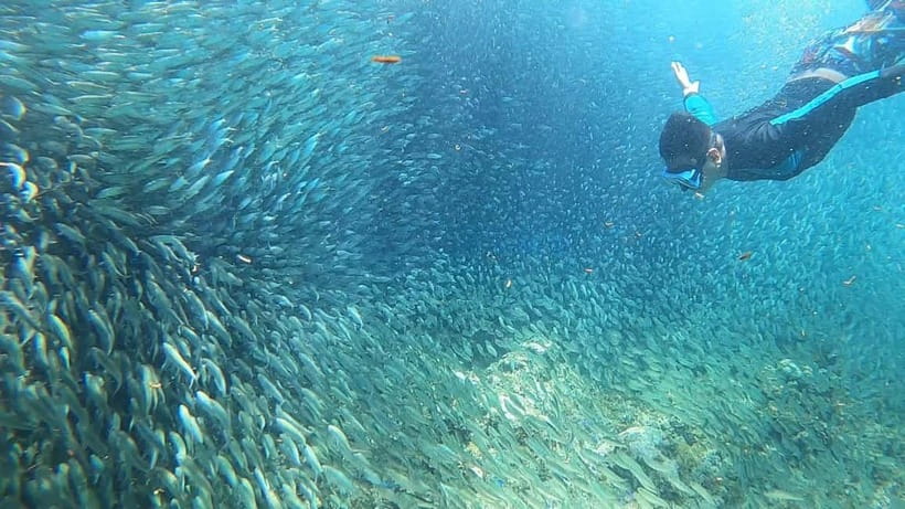 Cebu: Sardine Run Snorkeling, Mantayupan Falls & ATV Thrills - Barili ATV adventure, adrenaline with a safety-first reality