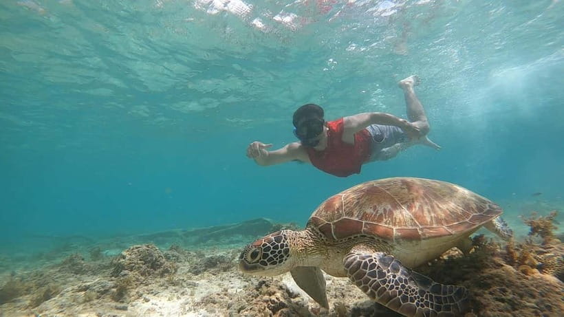 Cebu: Sardine Run Snorkeling, Mantayupan Falls & ATV Thrills - Timing and pickup, how the day actually feels
