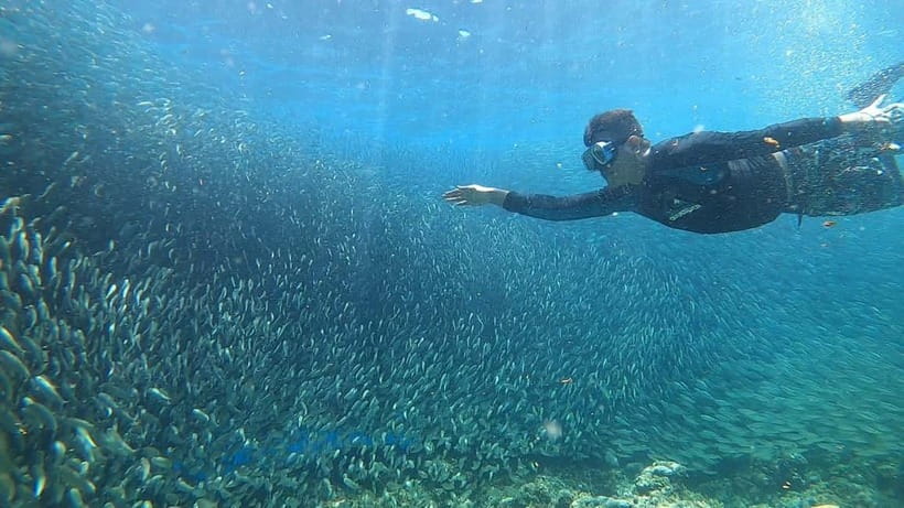 Cebu: Sardine Run Snorkeling, Mantayupan Falls & ATV Thrills - Sea turtle snorkeling in Moalboal, how close is realistic?