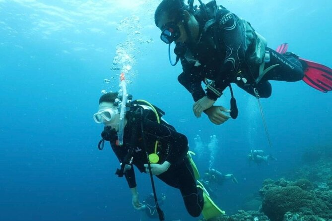 Cebu: Scuba Diving Experience beach entry in Mactan - The 2-hour flow: briefing, 1m practice, then your first underwater swim