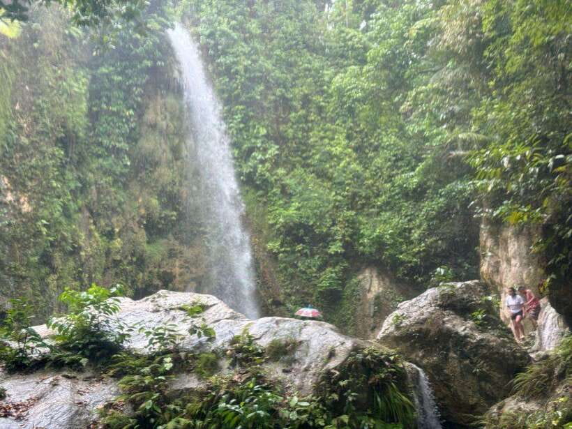 Cebu: Whale Shark, Inambakan Falls & Moalboal Sardine Tour - Where you start in Cebu, and why pickup timing matters
