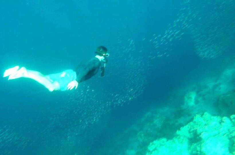Cebu: Whale Shark, Inambakan Falls & Moalboal Sardine Tour - What to bring, and the rules that keep everyone safe
