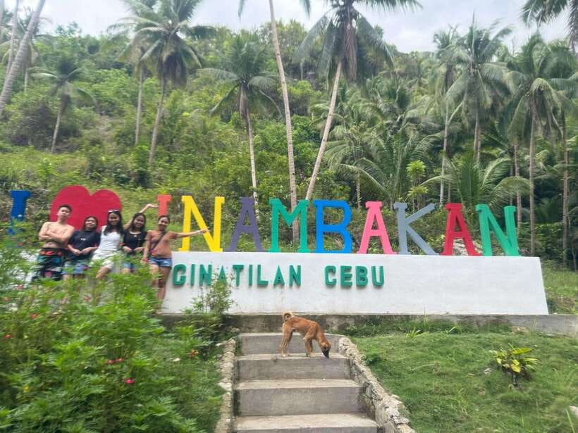Cebu: Whale Shark, Inambakan Falls & Moalboal Sardine Tour - Oslob whale sharks: safety briefing, guided swims, and big-water nerves
