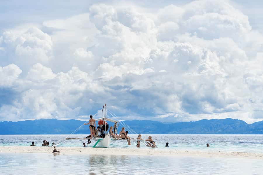 Cebu: Whale Shark, Monkey Sanctuary, & Moalboal Snorkel Tour - Moalboal Sardines Run and Turtle Snorkeling at Panagsama Beach