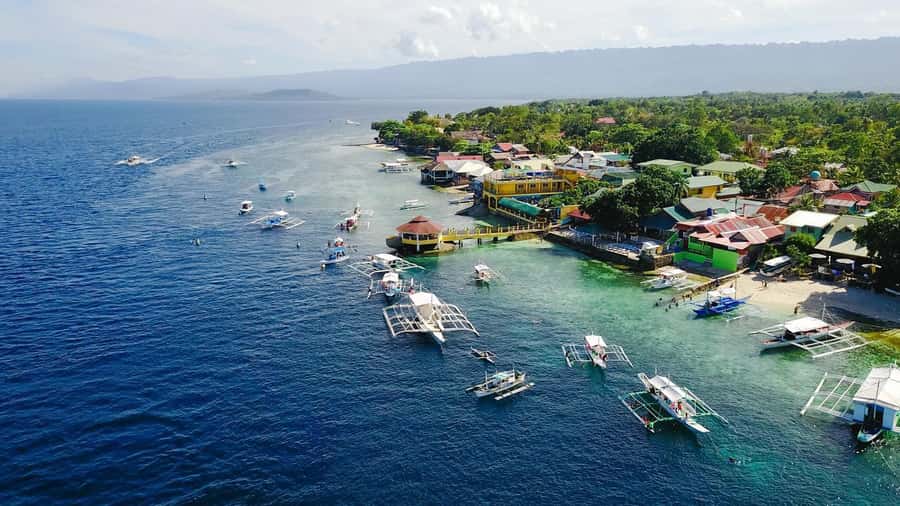 Cebu: Whale Shark, Monkey Sanctuary, & Moalboal Snorkel Tour - The Free GoPro Rental and Underwater Photographer: What You Get for Your Money
