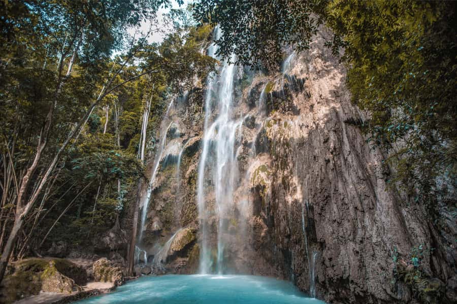 Cebu: Whale Shark, Monkey Sanctuary, & Moalboal Snorkel Tour - Oslob Whale Sharks: Timing, Crowds, and How to Make the Most of Your Swim