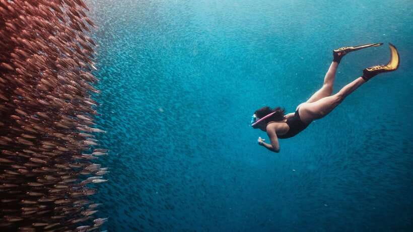 Cebu: Whale Shark, Monkey Sanctuary, & Moalboal Turtles Tour - What to pack for a 10-hour Cebu animal day